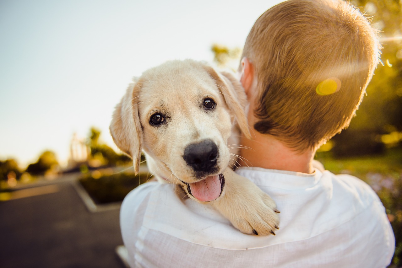 Pet-Friendly Properties: A Top Amenity for Renters and How We Manage the Risks